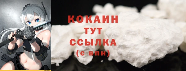 шишки Балахна