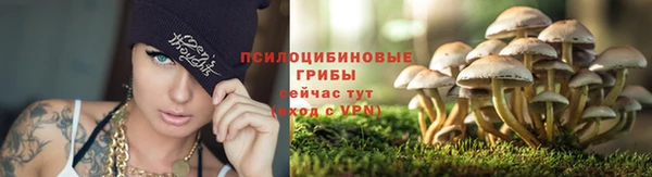 прущие крисы Балабаново