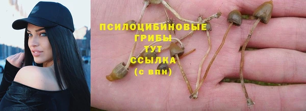 шишки Балахна